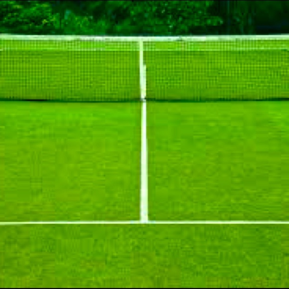 Meet your Posher, Logan